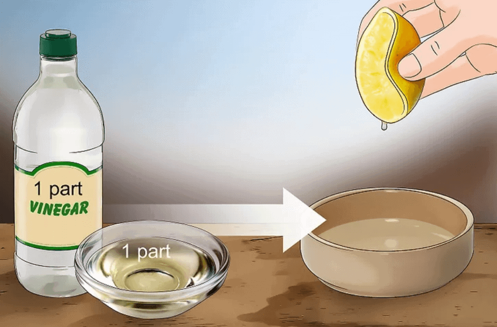 Không nên sử dụng các chất tẩy có tính axit như giấm, chanh,... cho đồ gỗ vì có thể phá hỏng lớp sơn bề mặt gỗ 