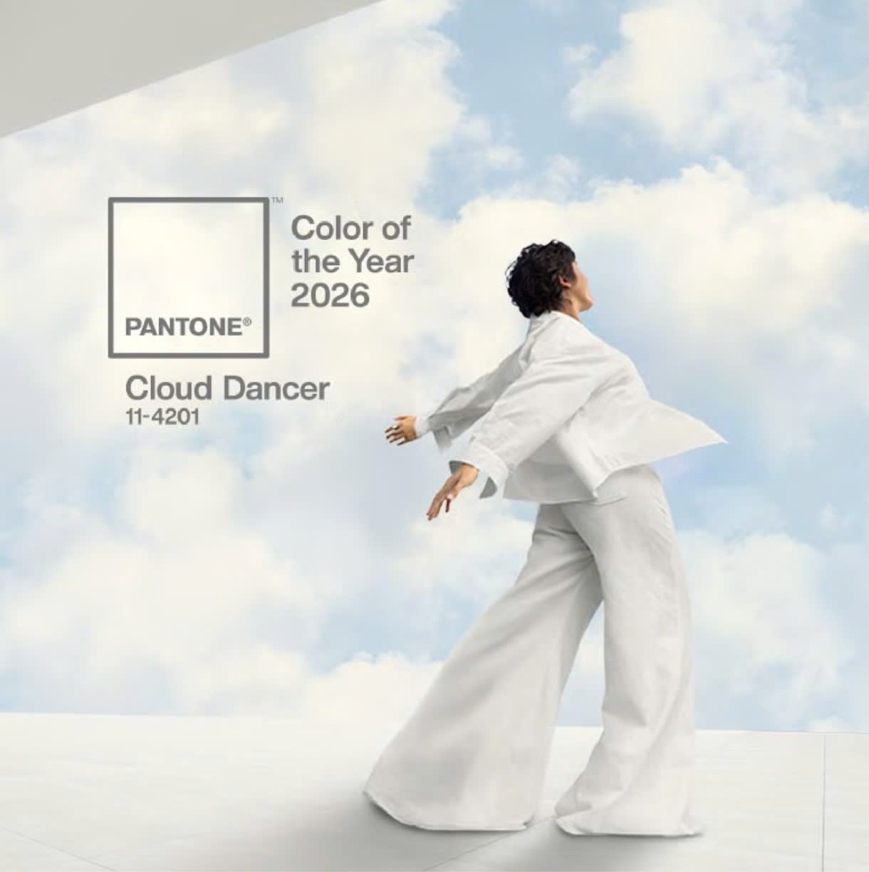 Màu sắc của năm 2026: Cloud Dancer 